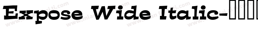 Expose Wide Italic字体转换